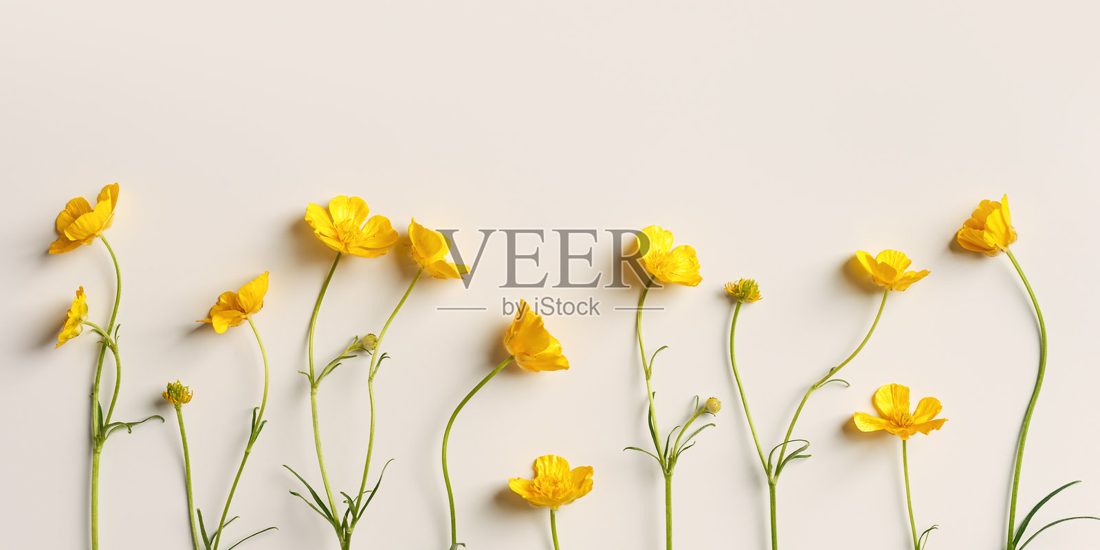 鲜活美迹百货